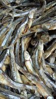 Anchois séchés du Vietnam disponibles - Seafood(dot)linda(at)gmail (dot)com Durée de conservation de 2 ans
