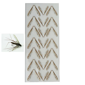 Flaschen-/Bienen-/Kranich-/ Wespenflügel-Muster Bindematerialien Echte Fliegen Angeln Realistisches Material (B13) - Product Image 4