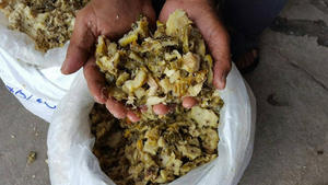 หญ้าหมักสับปะรดสำหรับอาหารสัตว์ - Product Image 5