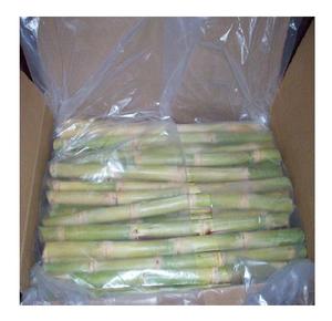 CAÑA DE AZÚCAR ORGÁNICA CONGELADA USO Jugo de caña de azúcar //Rachel: +84896436456 - Product Image 6