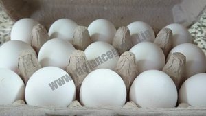 Chicken Eggs - Product Image 2