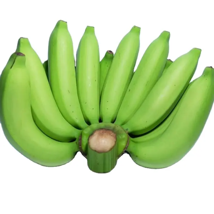 Bananas Green Premium Tropical Top Banana Style Cavendish Color Weight Origin Type Certificate Variety Grade Product Fresh Fruit