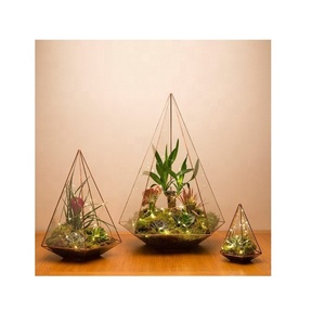Bas quantité minimale de commande Coin Décoratif Plante D'intérieur Terrarium Fabricant Grossiste Nouveau Design Direct Usine - Product Image 1
