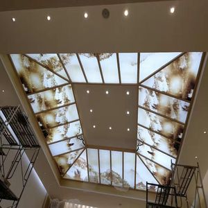 Matériaux de construction de <span class=keywords><strong>plafond</strong></span> Artistique film transparent plafonnier panneaux - Product Image 6