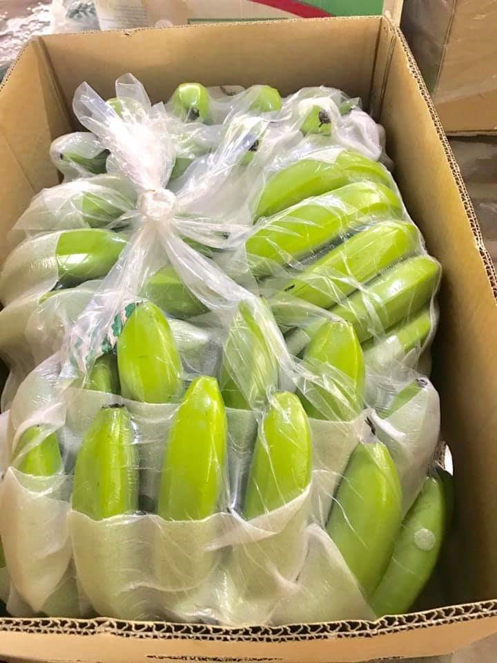 越南新鲜卡文迪许香蕉价格优惠