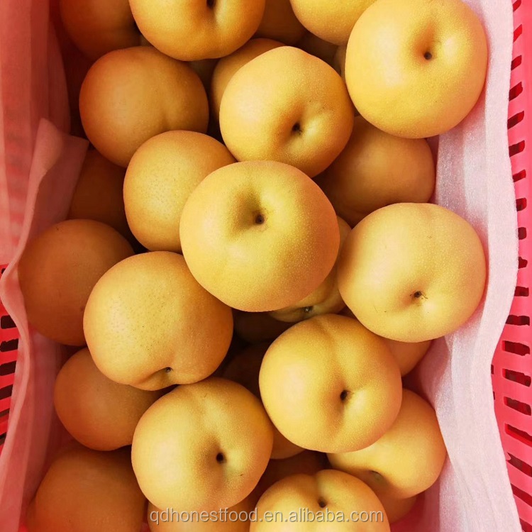 High Quality Fresh Fruit Sweet Crown Pear green pear