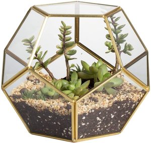 Geometric shape copper air plant terrarium - Product Image 1