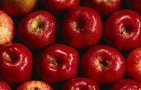 Verse rode Delicious appel, vers fruit uit Oostenrijk