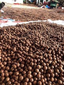 Argots iba — noix vaporisation en plastique pet, 2021, exportation par le client - Product Image 6