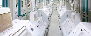 Molino de rodillos de harina de acero automático para uso doméstico y agrícola, motor de fabricación de polvo de 220V y motor, nueva condición usada para molienda - Product Image 2