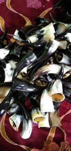 เขาควายแกะสลักจากธรรมชาติจากผู้ผลิตชั้นนำของอินเดีย เป็นมิตรกับสิ่งแวดล้อม ใช้เป็นเครื่องดื่มแบบโบราณสไตล์ไวกิ้ง  แตรทองเหลืองสำหรับการเดินเรือ - Product Image 5