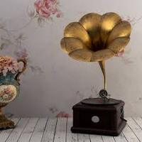 Gramophone en laiton doré, haut de gamme, fabrication indienne, prix de gros,