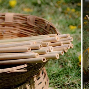 Lot de pailles écologiques en bambou, pour boire, bon marché, viquel nouveauté - Product Image 4