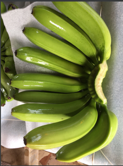 越南新鲜 cavendish 香蕉