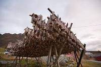 Morue séchée / Stockfish de Norvège