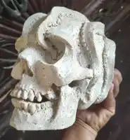 Di alta qualità di osso intagliato skulsl antico 100% intagliato a mano made in bali da speciali artisan in edizione limitata