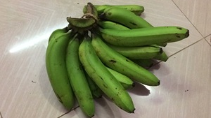 CTC Green Banana-BD Modelo de Origen 2021 - Product Image 4