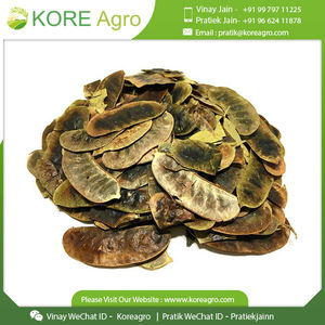 Hojas y vainas de senna 100% naturales, secadas al sol, de primera calidad. Compre en India a precio económico. - Product Image 6