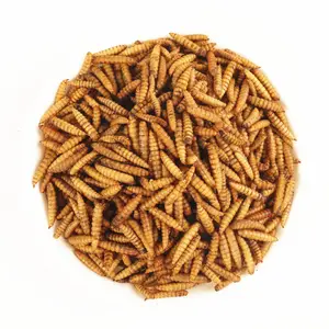 High Protein DRIED MEALWORMS/ BLACK SOLDIER FLY LARVAE von Vietnam/ Ms. May + 84 904183651