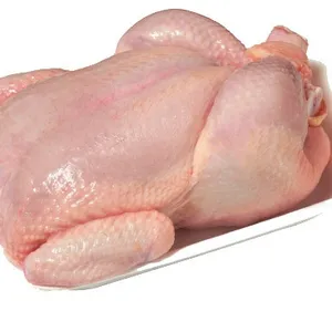 POULET CONGELÉ ENTIER HALAL DE QUALITÉ DU BRÉSIL