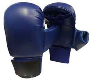 Martial Arts <b>Karate</b> Shin Protector <b>KARATE</b> WKF Approved SHIN, INSTEP GUARD & <b>Karate</b> Mitts - Product Image 2