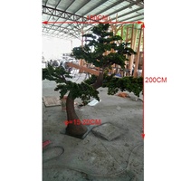 Personnalisé forme spéciale 200cm hauteur grand jardin artificiel pin intérieur grand pin arbre artificiel à vendre
