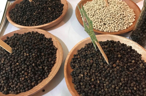 Pimienta Negra de VIETNAM a bajo precio, la mejor fábrica de especias en polvo de pimienta mezcladas (WhatsApp 0084 989 322 607) - Product Image 2