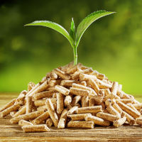 Pellets de Madera Vietnamitas Baratos de 6-8 mm con Bajo Contenido de Cenizas - Product Image 2