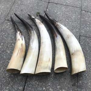 Natural Decorative Horn <b>Christmas</b> and Holiday <b>Decoration</b> & Gift with and Horn Stand with Hot <b>Sale</b> with Hot <b>Sale</b> - Product Image 4