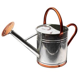 Lata de agua de acero galvanizado con estilo clásico hecha a mano, forma personalizada, tamaño moderno para exteriores, recién llegado, bastones de agua Vintage - Product Image 4