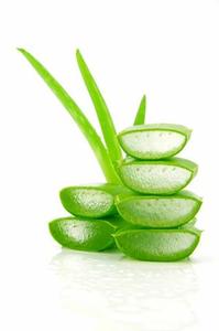 Tranches de plantes d'aloe vera fraîches d'entreprise avec gel naturel pour la beauté et les soins de la peau - Product Image 3