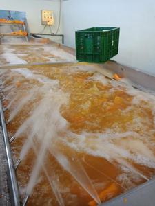 ผู้ผลิตที่เชื่อถือได้ของเวียดนามสำหรับชิ้นฟักทองอบแห้งแห้ง-เกรดคุณภาพแรกควบคุมโดย ISO, HACCP - Product Image 5