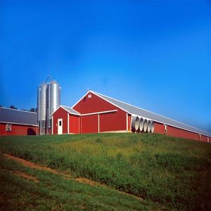 Structure de élevage de volaille commerciale en acier, caisses à volaille et abri de repos - Product Image 4