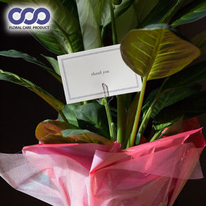 Nouvelle Arrivée Bonne Qualité Fleur Porte-Cartes Bâton avec 2 Tailles M/L Taille Transparent Porte-Cartes Pour Bouquet De Cartes De Souhaits - Product Image 6