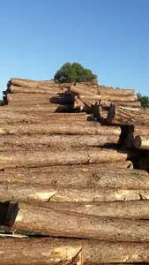 वियतनाम से पाइन लकड़ी लॉग कम कीमत बनाने लकड़ी