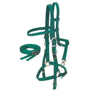 Bridle dan Halter Combo dengan Reins