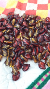 Cuentas de cristal con forma de bicono de plata transparente hechas a mano para la fabricación de joyas y proyectos de artesanía DIY cristal natural Suelto - Product Image 4