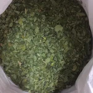 Feuille séchée Moringa pour jus Moringa, biscuits Moringa à haute valeur nourrissante, nouvelle collection été