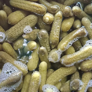 Légumes croquants et rafraîchissants dans une solution de sel Cornichons conservés dans du tambour en saumure - Product Image 1