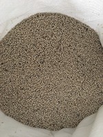 Meilleur prix pour poivre blanc séché en usine 630 GL, doublement lavé, traitement brut, directement du Vietnam Binh Phuoc, durée de conservation de 2 ans