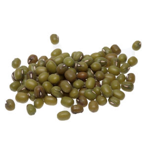 Green Mung Beans From Thailand for Food consumption at wholesale prices - Product Image 4