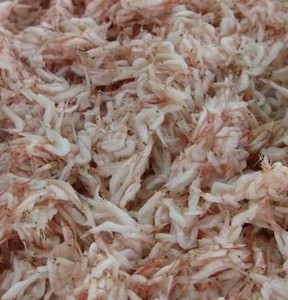 CAMARONES SALADOS A PRECIO COMPETITIVO, PRODUCTO MARINO ORGÁNICO - Product Image 4