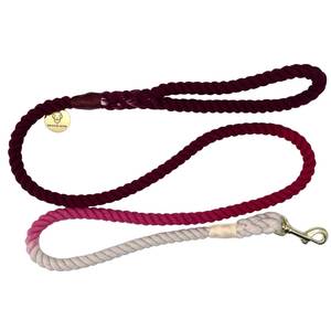 Custom <b>Pet</b> Braided Gradient Colour Rope Dog <b>Leashes</b> Innovative Dog <b>Leash</b> With Modern Design for Bulk Sale - Product Image 3