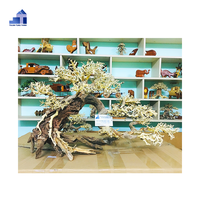 Nouveau Design Rectangle Forme Aquarium Décoratif Bonsaï Bois Flotté Du Vietnam pour Salon Grossistes Boîte Emballée