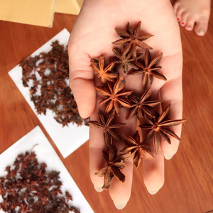 Anís Estrellado Entero de Vietnam de Súper Calidad, Especia Natural de Sabor Intenso para Distribución Mayorista y Suministro Global - Product Image 1