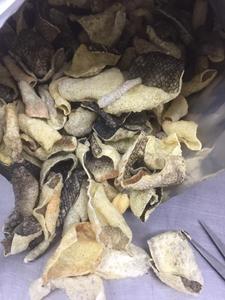 หนังปลาแซลมอนอบแห้งกรอบ/หนังปลาแซลมอนกรอบและปลาแซลมอน - Product Image 2