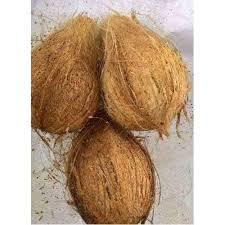 แห้ง SEMI-HUSK มะพร้าวราคาที่ดีที่สุด2022 - Product Image 4