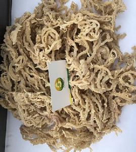 Alga Eucheuma Cottonii / Musgo Irlandés / Musgo Marino de Vietnam - Product Image 6