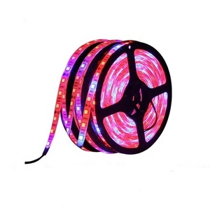 Bande horticole de croissance led SMD5050, étanche, flexible, longueur continue, éclairage pour plantes, bon marché, vente en gros, - Product Image 1