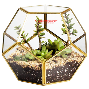 Vase de Terrarium de Table Design moderne de haute qualité, décoration d'intérieur de jardin, prix de gros - Product Image 4